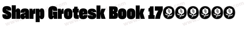 Sharp Grotesk Book 17字体转换